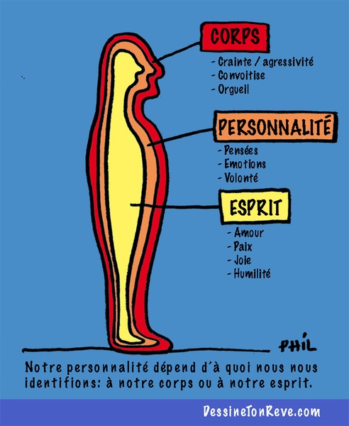 identification